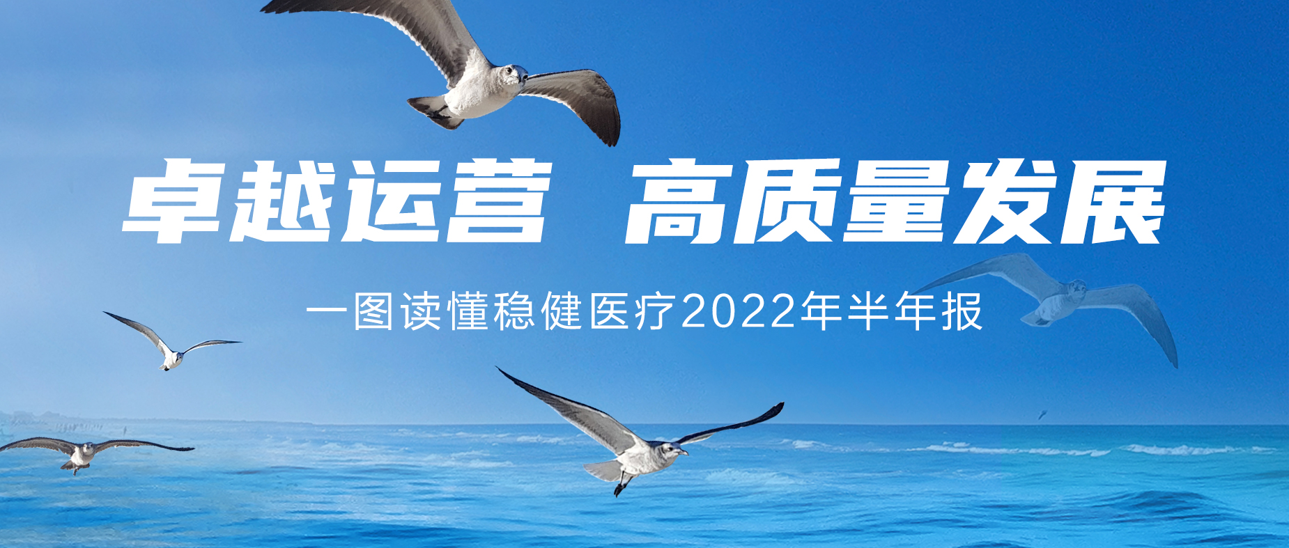 一圖讀懂公海賭船醫療2022年半年報
